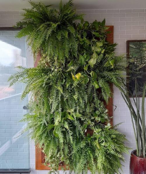 Jardim vertical natural com parede de vegetação viva exuberante cobrindo toda a extensão, mix de plantas tropicais com flores rosas, orquídeas, samambaias e folhagens coloridas em vermelho e verde, ambiente interno sofisticado ao lado de adega climatizada com iluminação quente, fotografia realista de alto padrão